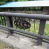 滑滝橋