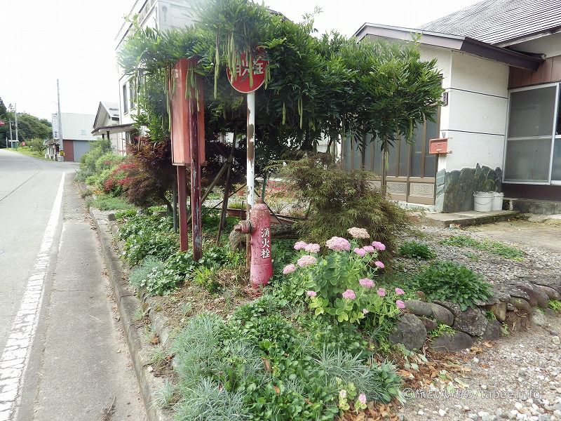 キヨコさんの庭