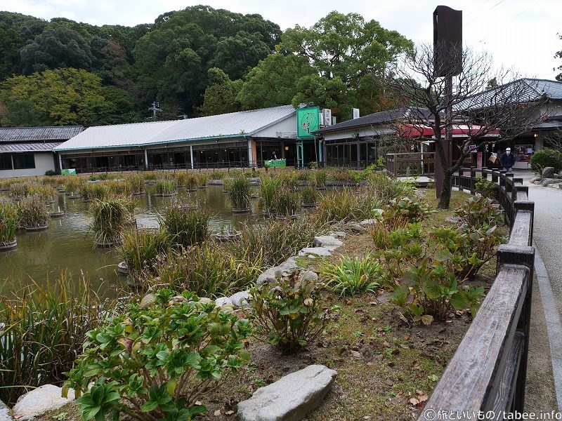 菖蒲池の周りにはお食事処や売店があります