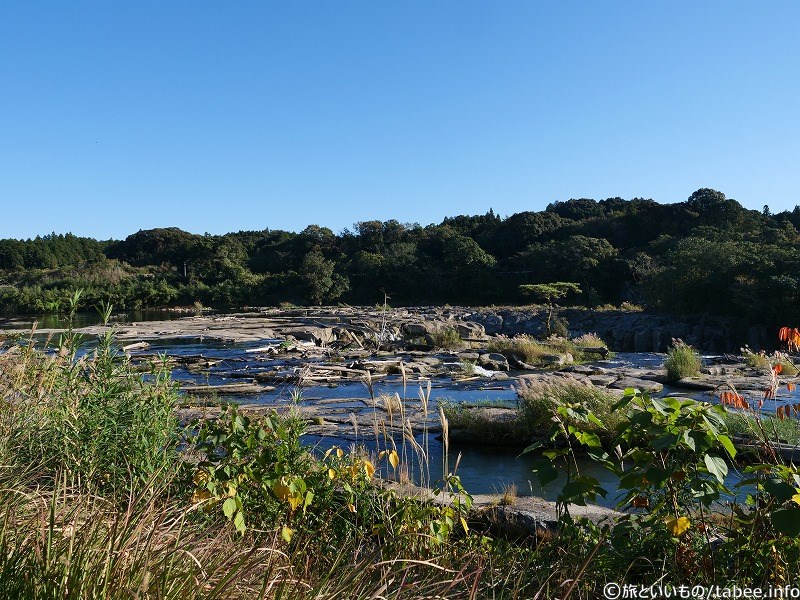 あの茂みの向こうに曽木の滝分水路があります