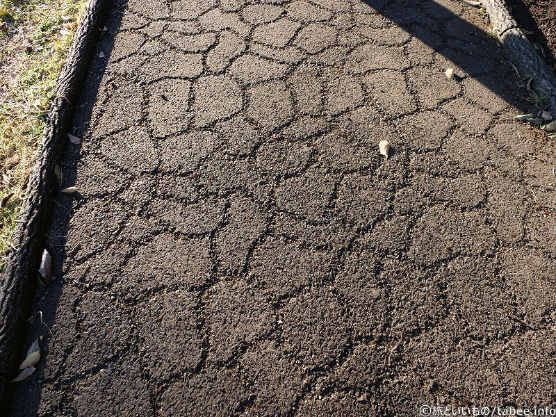 歩道の模様