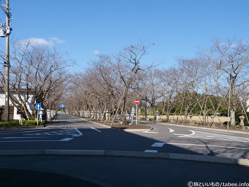 道路にも石灯籠が並んでいます