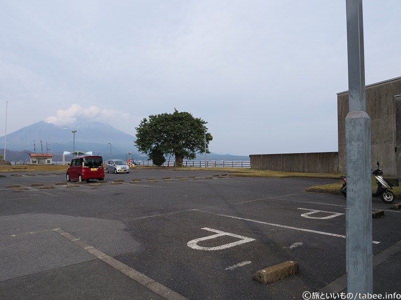 噴煙が上がっていると桜島って感じがしますね