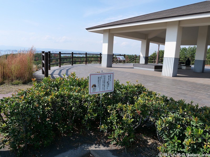 野良猫への餌やりに関しての看板