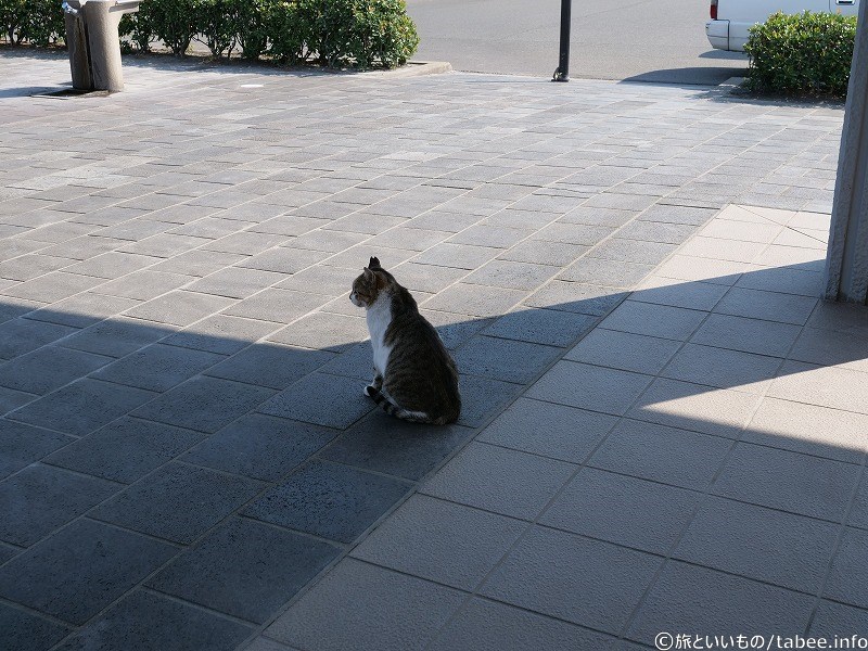 違う毛色の子