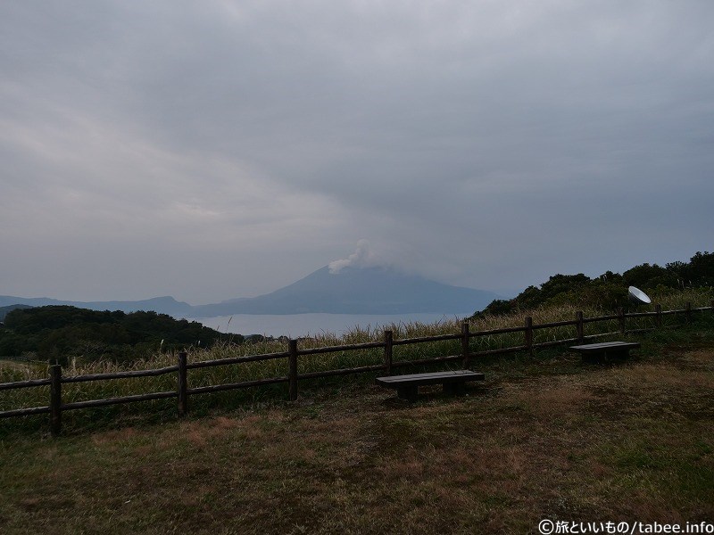 桜島が見えます