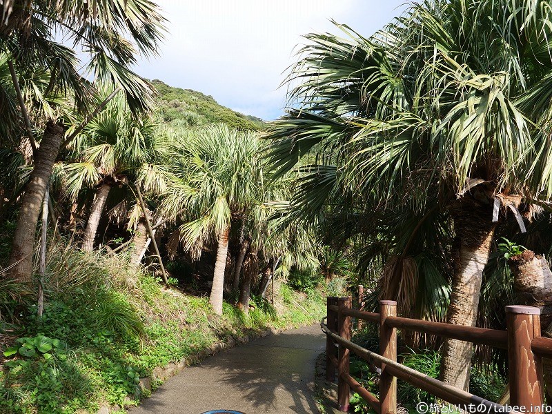 佐多岬公園展望台から佐多岬灯台守の官舎跡地へ向かいます