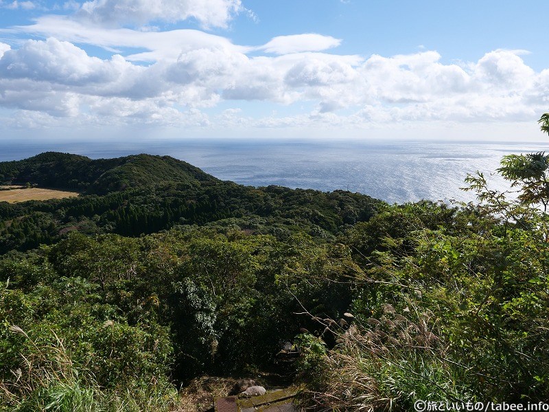 海が近い