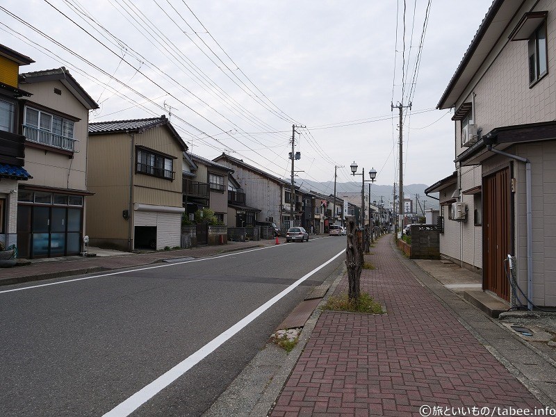 剪定された街路樹