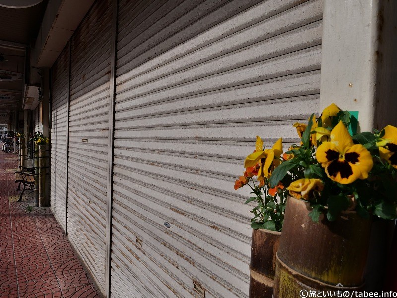お店毎に置いてある竹の植木鉢に寄せられたパンジー