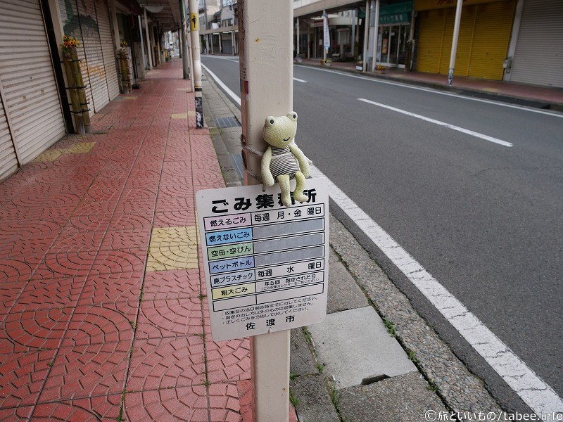 ゴミ集積所で何かを待っているカエル