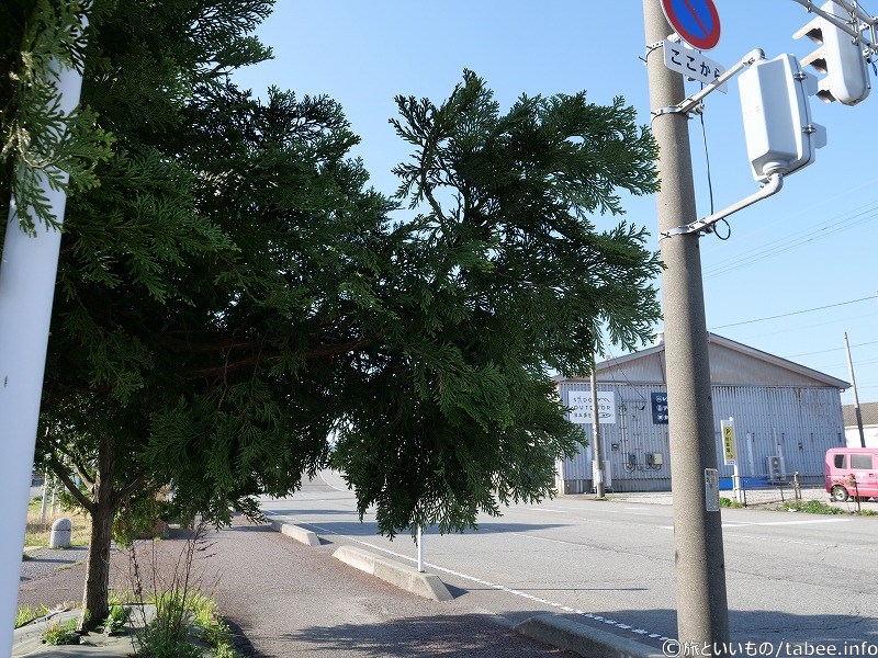 道の駅から佐渡汽船フェリーのりば方面へ歩きます