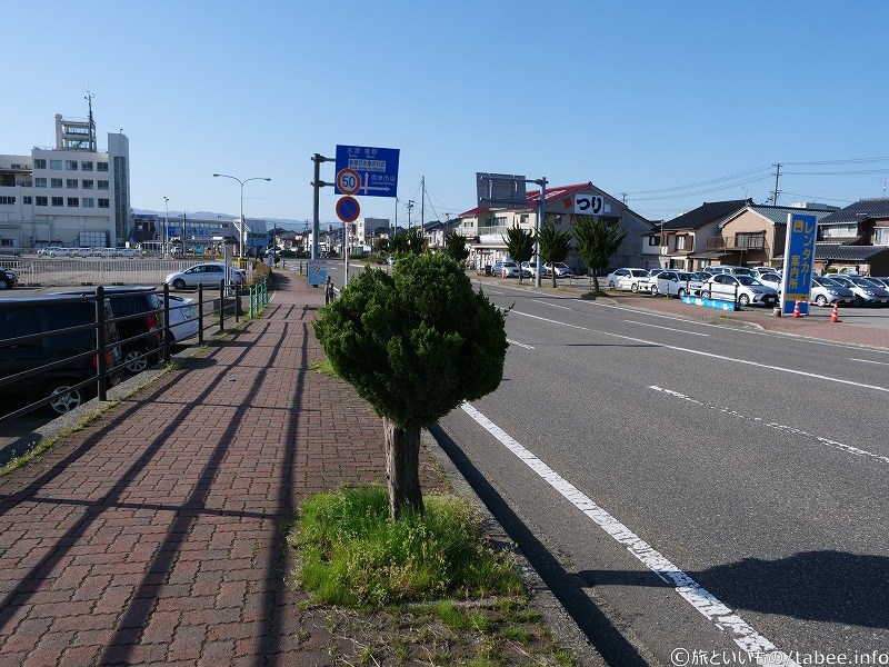 がんばって葉っぱを生やしてる