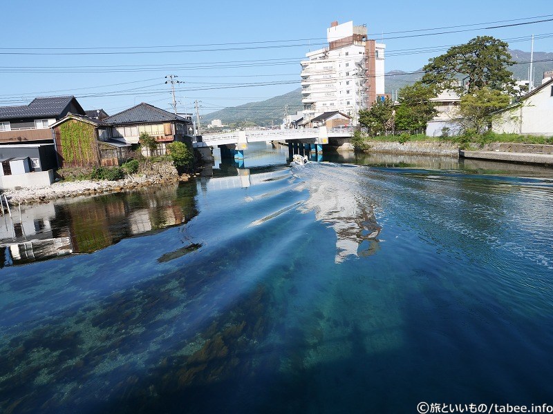 水面が面白いので連射