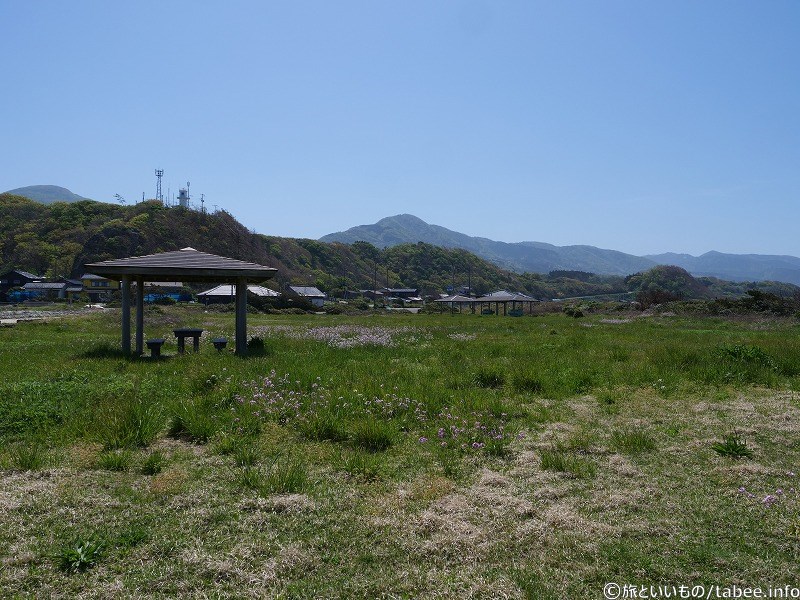 キャンプ場の雰囲気