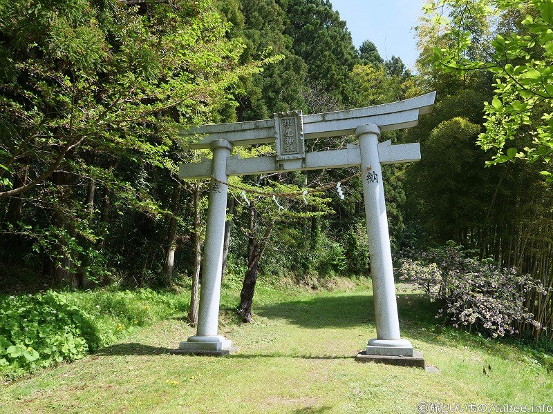 表参道から参りましょう
