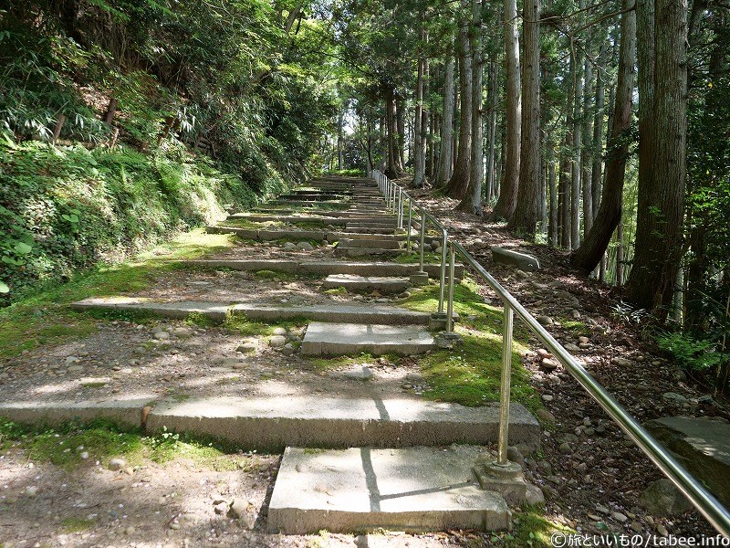 足事情に合わせてお好きな位置から登りましょう(私はのんびり行くので右側)