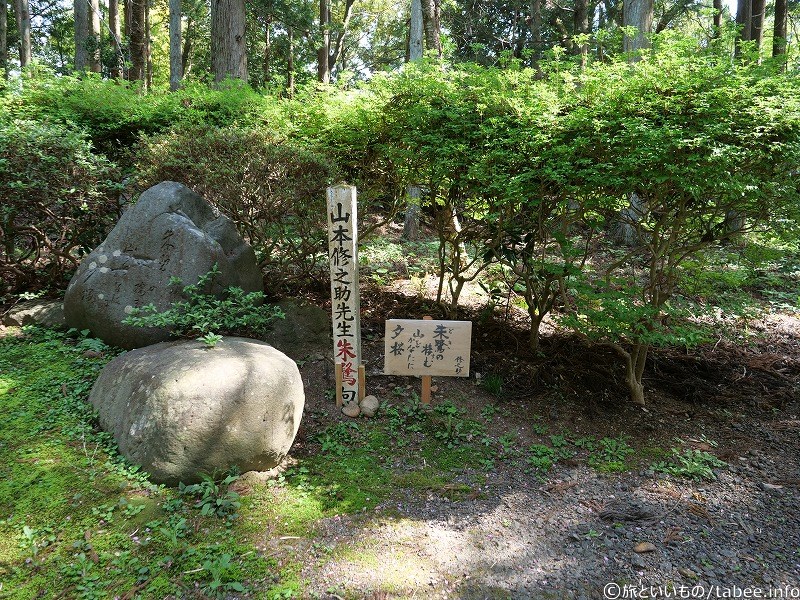 山本修之介先生朱鷺句「朱鷺の棲む山をかなたに夕桜」
