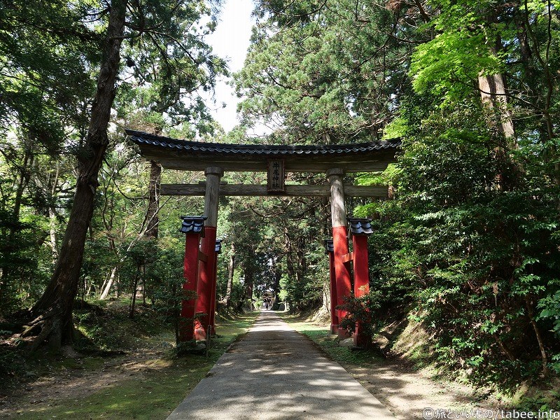 豪華な鳥居です(明神鳥居というそうです)