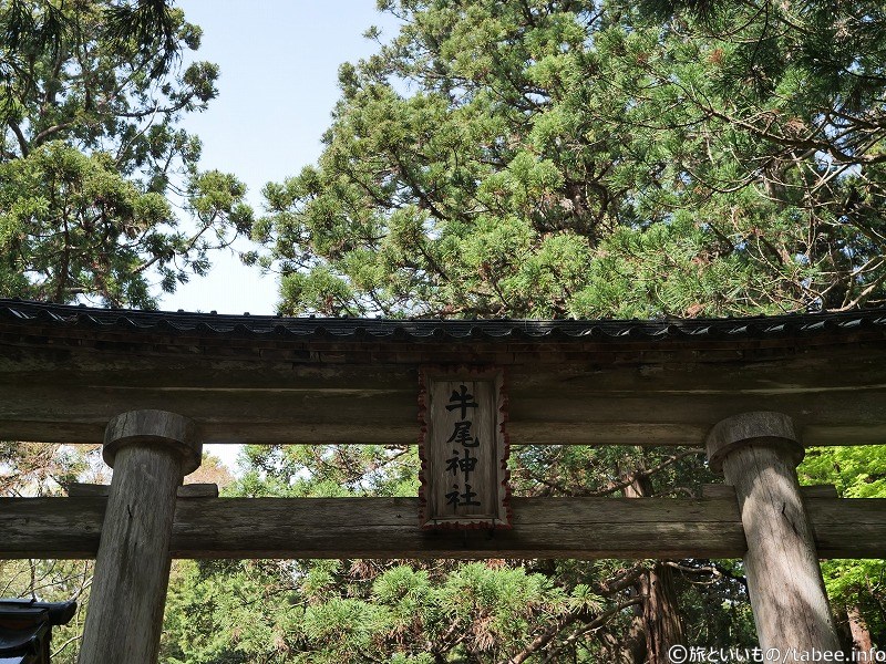 神額