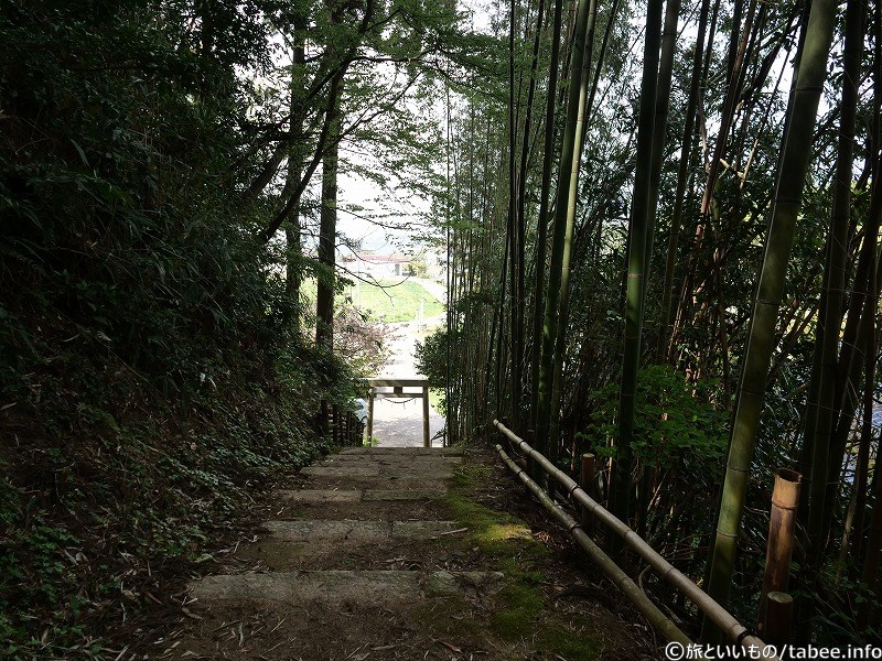 鳥居が見えてきました