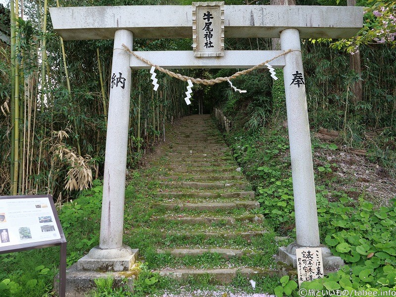 裏参道の鳥居