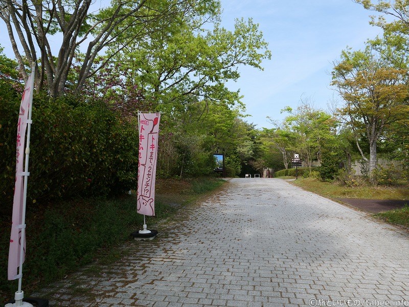 良い陽気の中てくてく行きましょう