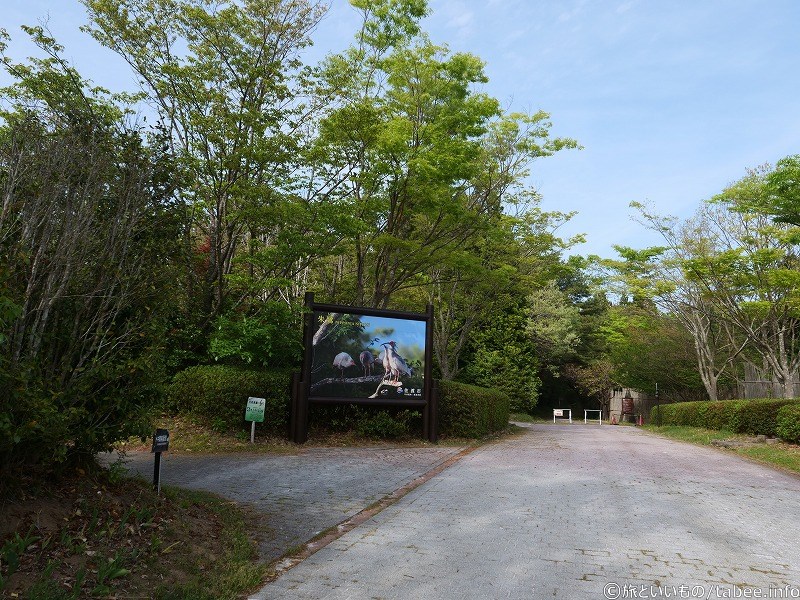 トキの看板