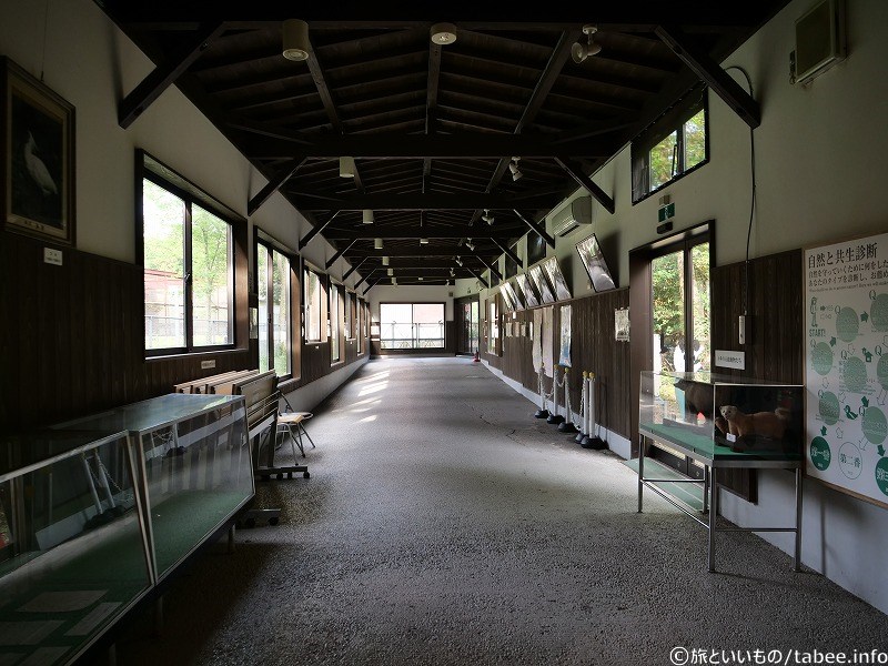 展示が終わり、飼育ゲージを見に行くための回廊
