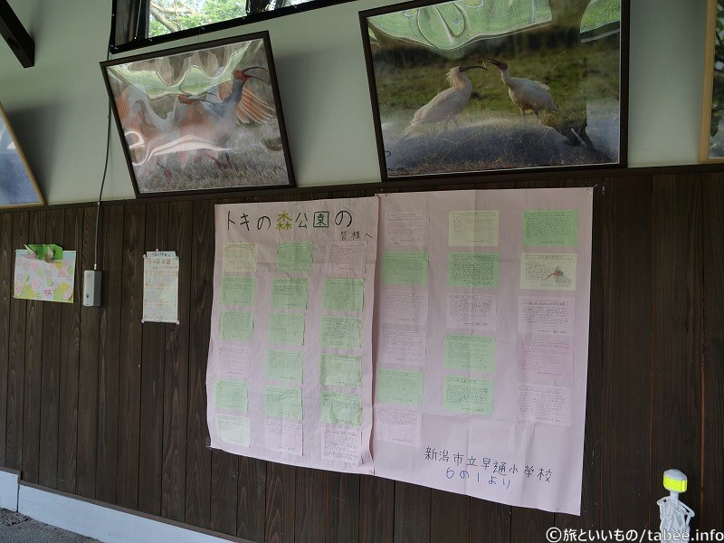 写真や総合学習に訪れた児童たちの感想等