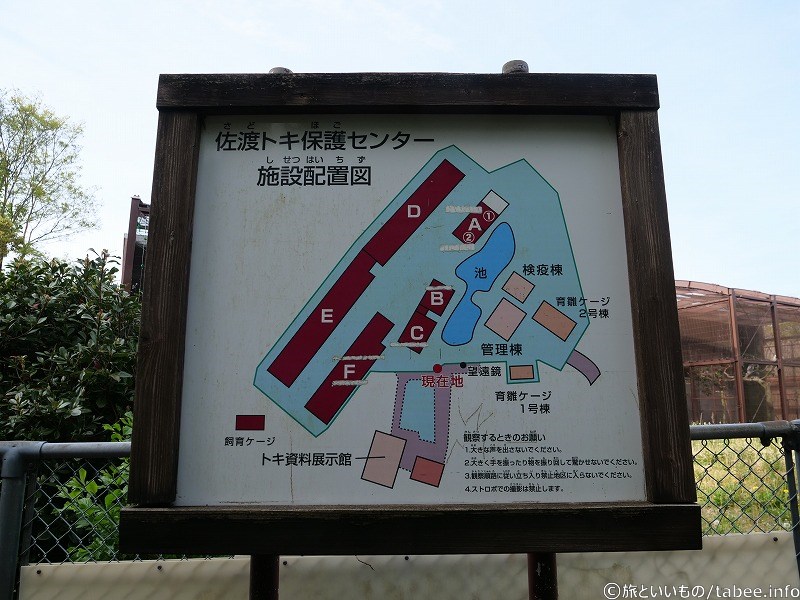 佐渡トキ保護センター施設配置図