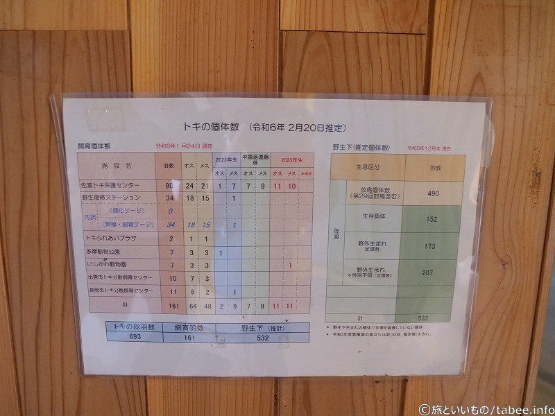 トキの個体数