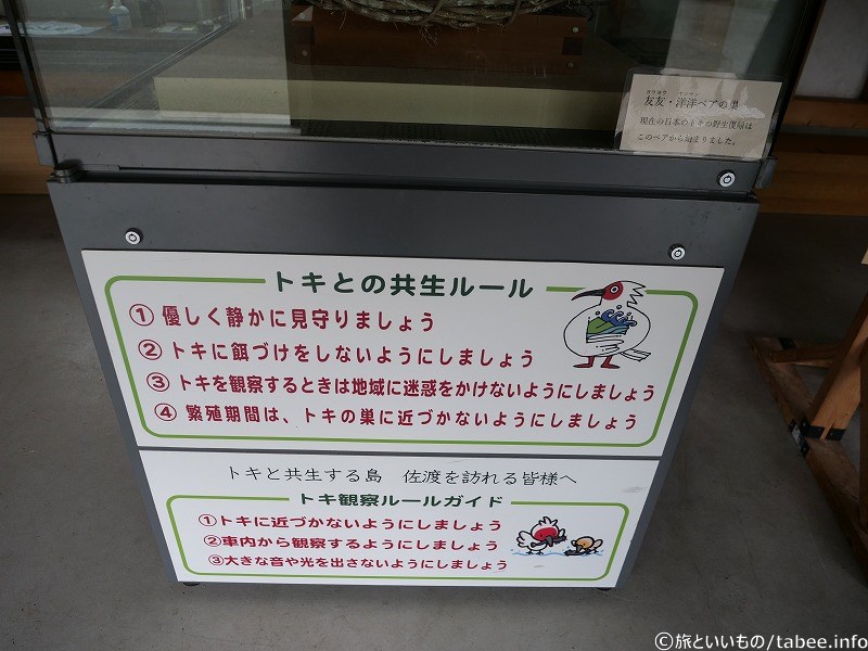 トキとの共生ルール