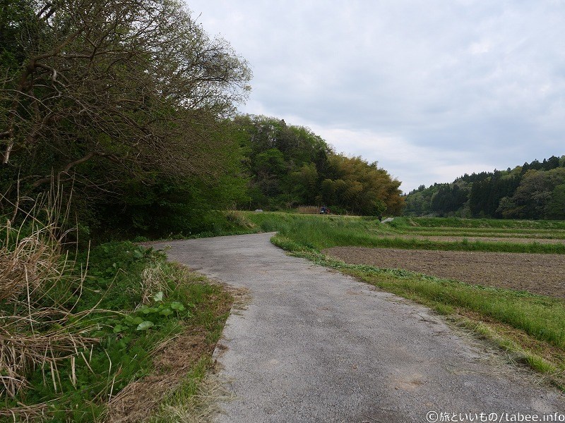 観察小屋まで大体30分
