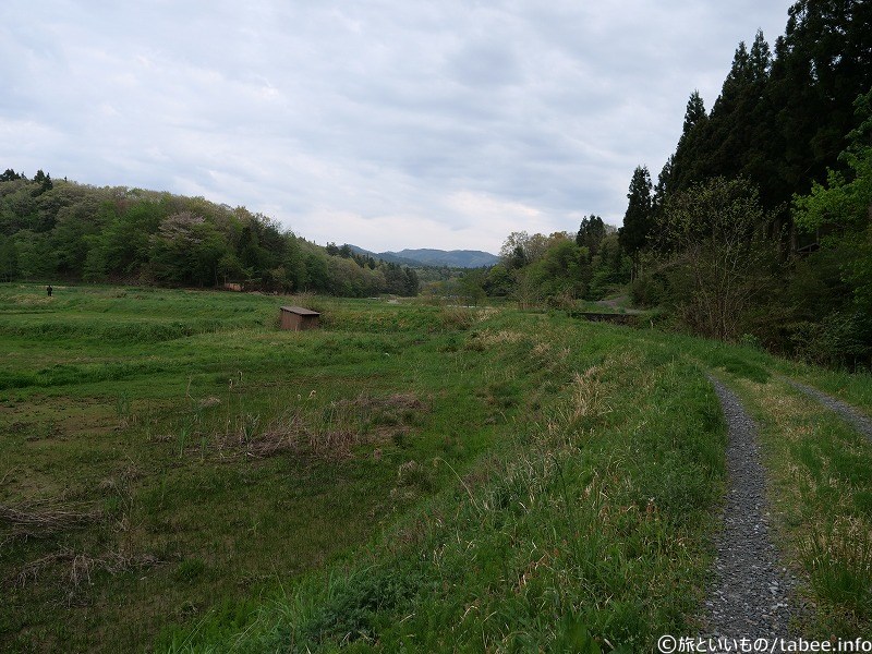 田んぼの中で迷子のような気持ちになりつつ