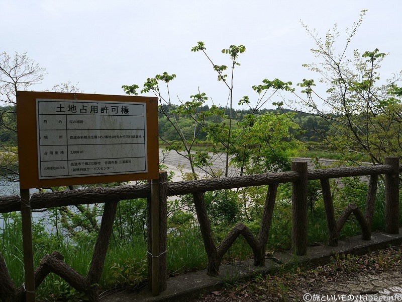 桜の植栽の土地占用許可（3000㎡）