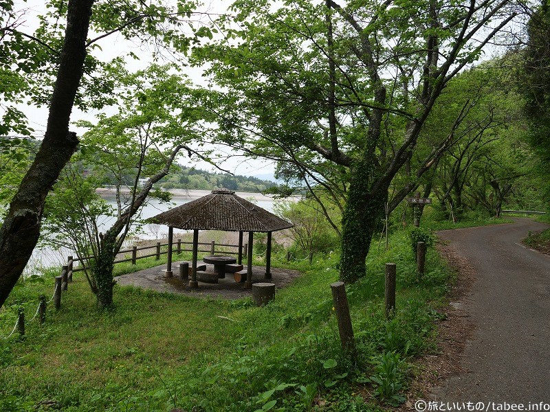 きれいに草が刈られています