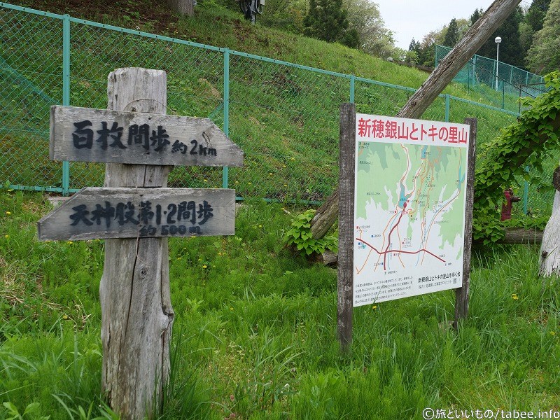 この時は間歩には行きませんでした