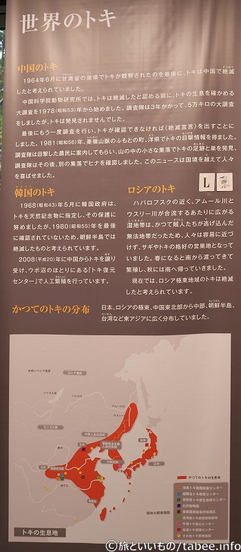 世界のトキ