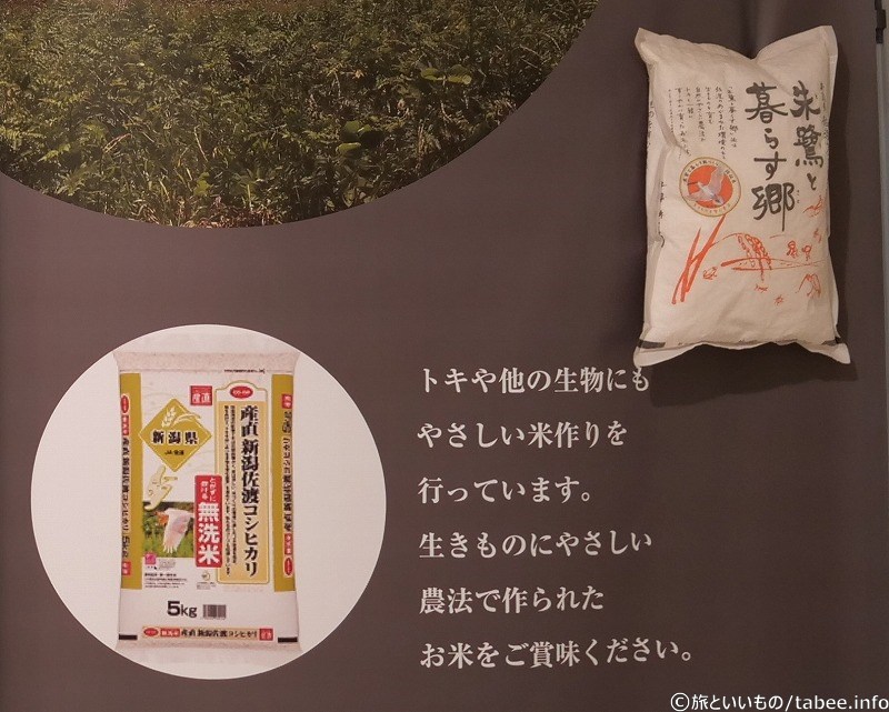佐渡産のお米