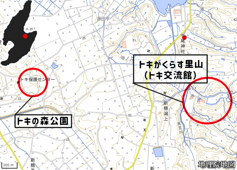 トキ施設
