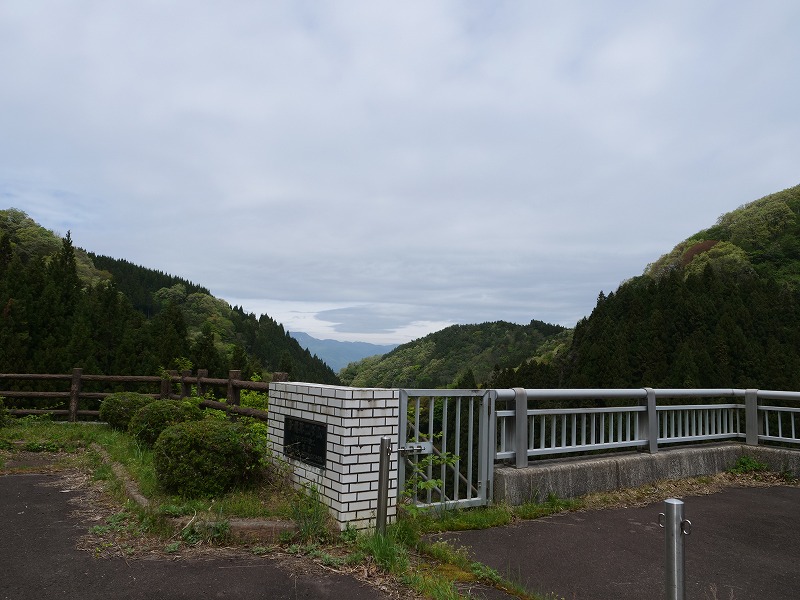 戻ってきました