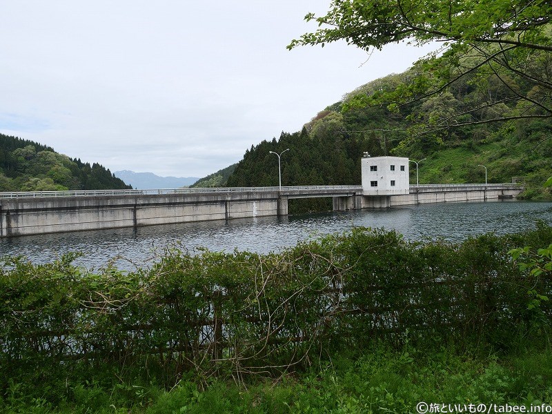 上流から堤体を見る