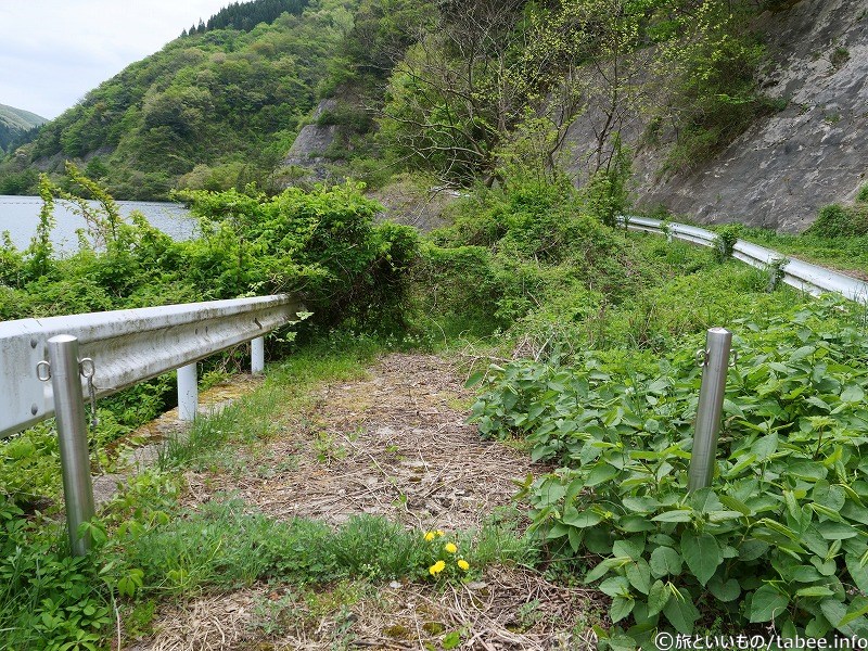 下に行けそうな道