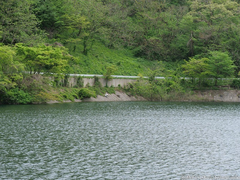 対岸