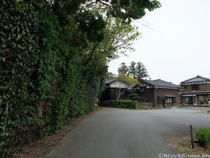 参道とは違う場所から入ってしまいました。