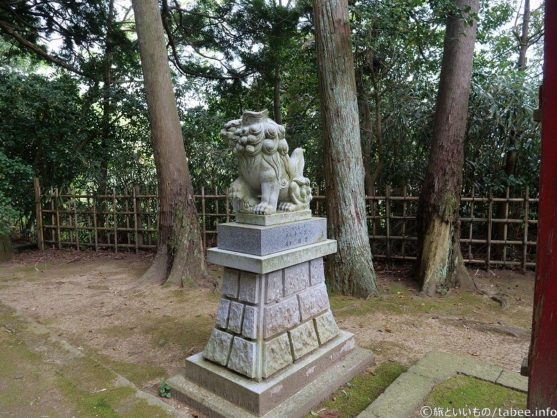 狛犬さんも後ろから