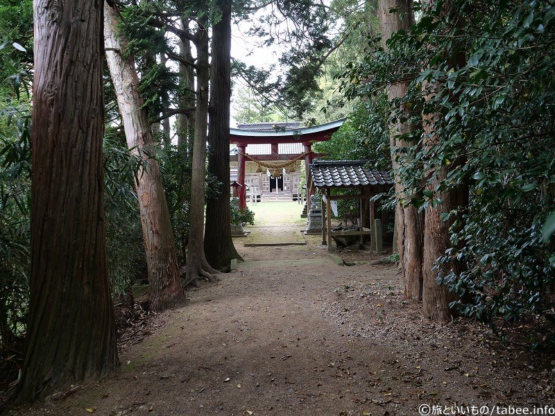 いい雰囲気ですね