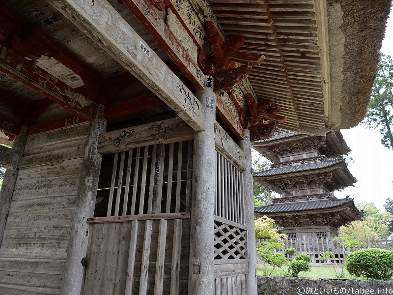 奥に五重塔が見えます