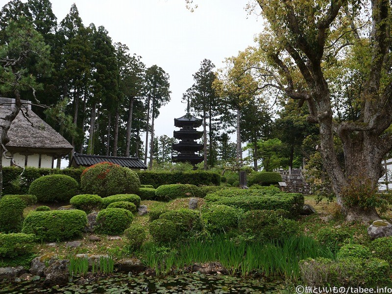 池もあり綺麗に刈りこまれた低木も良い感じです